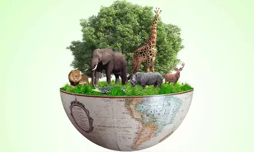 Biodiversity loss worryingly high