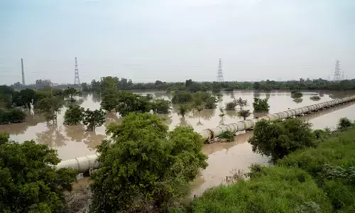 Yamuna water level increases to 205.80 meters