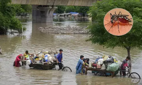 Delhi floods trigger dengue outbreak