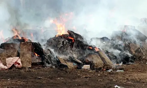 Tripura destroys seized drugs valued at Rs 9.5 crore