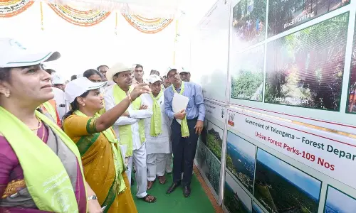 Telangana: Haritha Haram, a boon to future generations