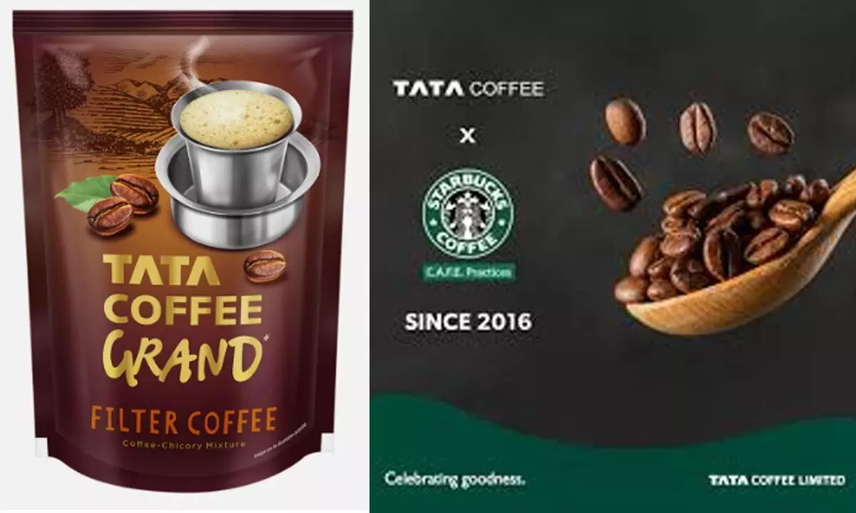 Tata Coffee Q1 profit down 5 pc at Rs 62.06cr