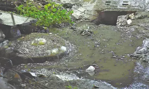 Hyderabad: City sees light to moderate rain, GHMC officials swing into action