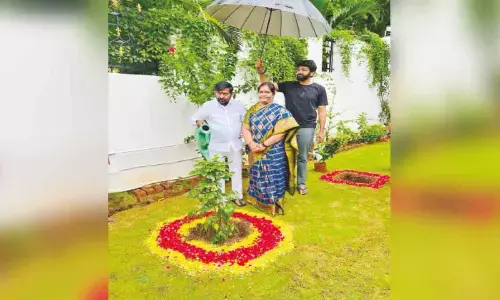 Jagadish Reddy plants saplings on his birthday
