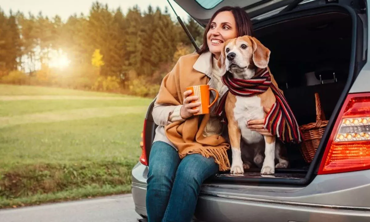 Travelling with Pets in Monsoon? 5 Tips for a Smooth and Safe Journey