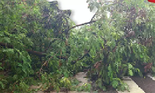 Hyderabad: Rain Rage Engulfs City