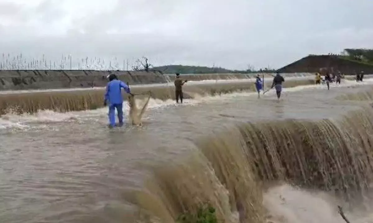 Streams are overflowing due to incessant rains in erstwhile Karimnagar district