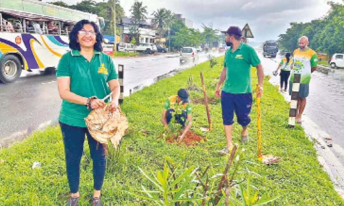 Initiative to enhance highway safety, coupled with green beauty