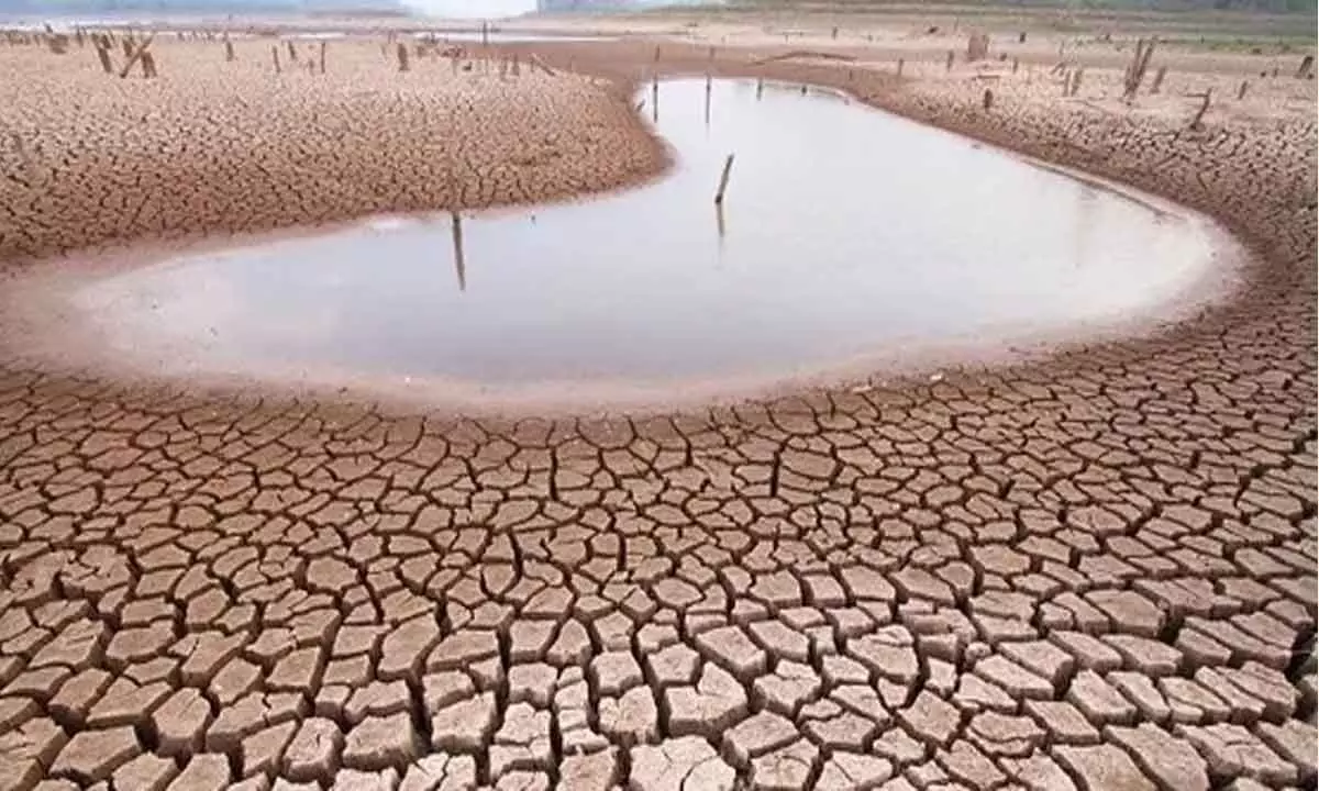 Govt says Centre’s ‘drought manual’ far away from ground realities