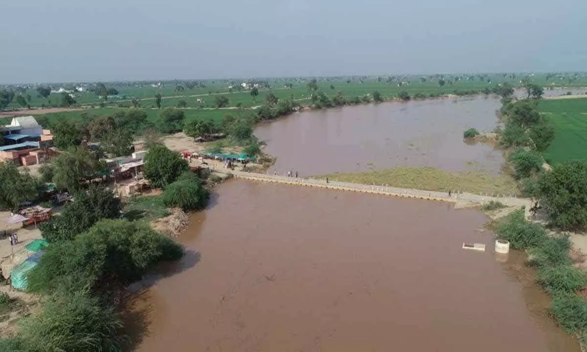 Rajasthan’s Hanumangarh braces for flood
