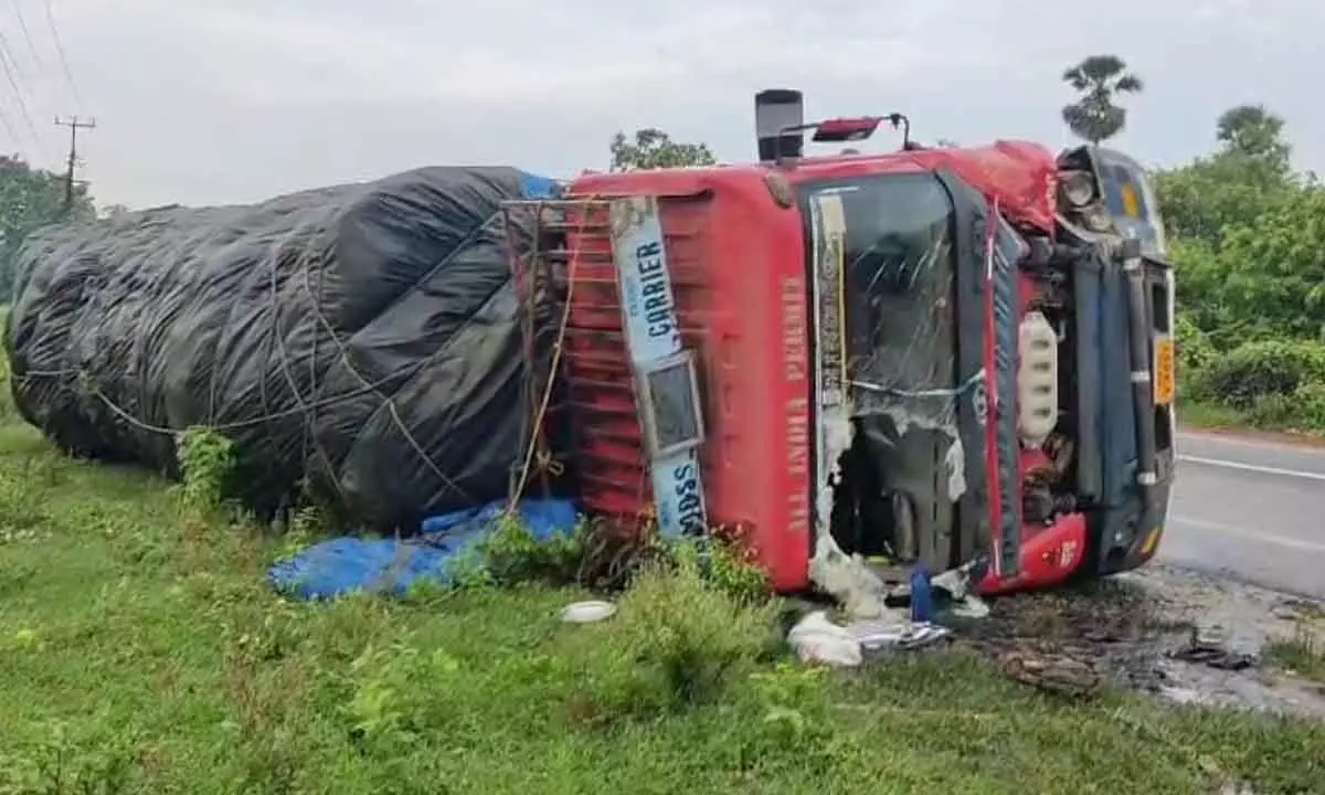 Truck overturned after hitting cows