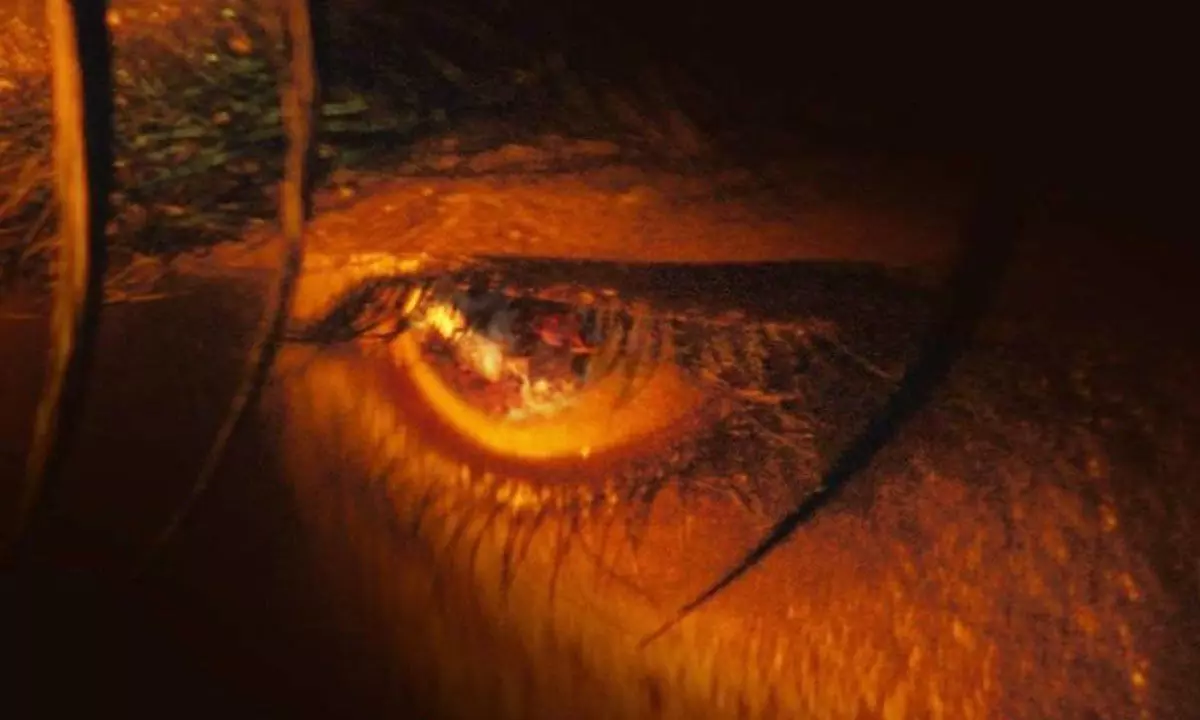 SRK-starrer ‘Jawan’ makers give sneak-peek to Vijay Sethupathi’s furious eyes’ in mystery poster