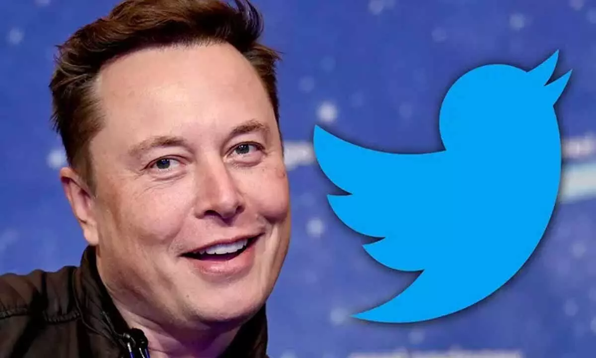 Elon Musk Urges Twitter Users To Get Verified And Earn Thousands Of Dollars