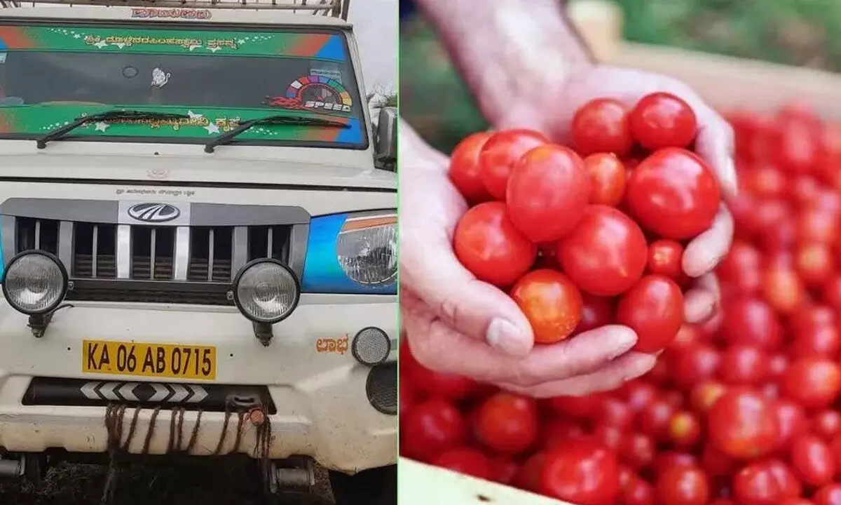 TN couple held for hijacking truck carrying 2.5 tonnes of tomato