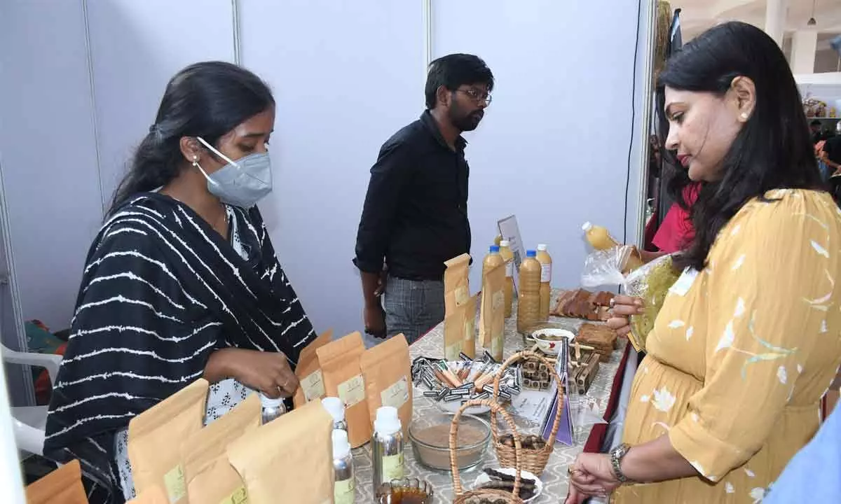 Two-day Vegan Festival brings down its curtains