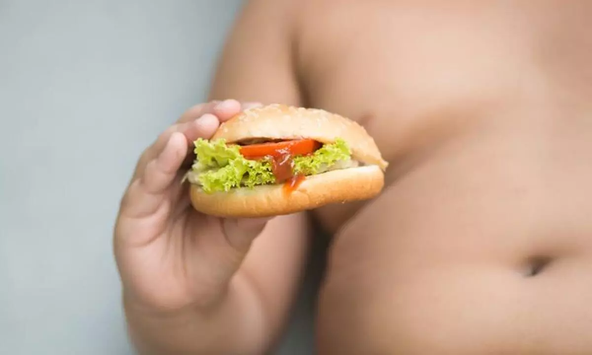 Child Obesity: 5 Tips For Parents To Nurture Children In A Junk Food-Free Lifestyle