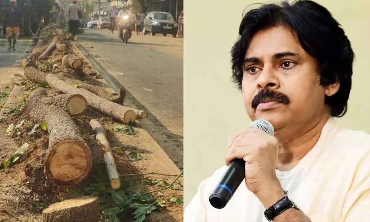 Tree cutting for Jagan’s helipad draws Pawan’s ire