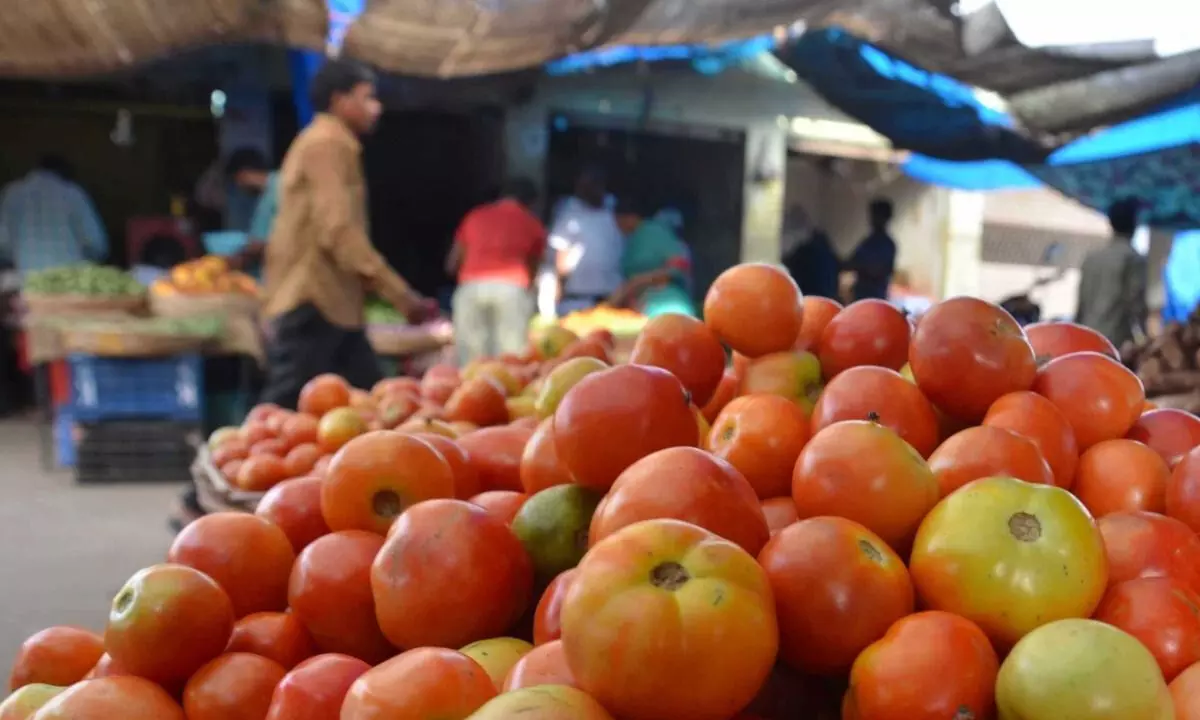 Hyderabad: Incessant rains spike tomotoes price;apples set to turn dearer
