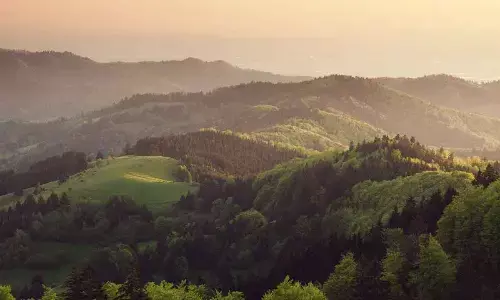 Environmentalists sound alarm over Forest Bill