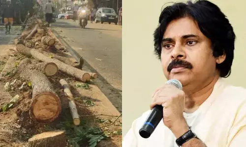 Tree cutting for Jagan’s helipad draws Pawan’s ire