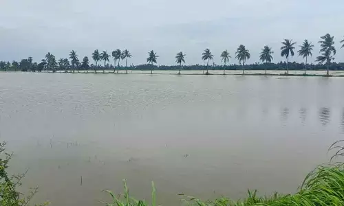 Thosands of acres Paddy crop inundated in Krishna District.
