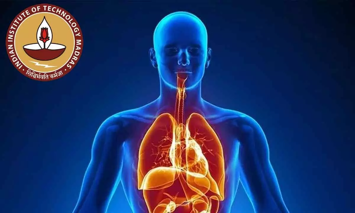 IIT-Madras team explores how organs communicate with one another