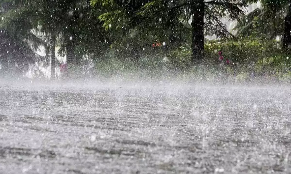 Eluru district gets 211 cm rainfall