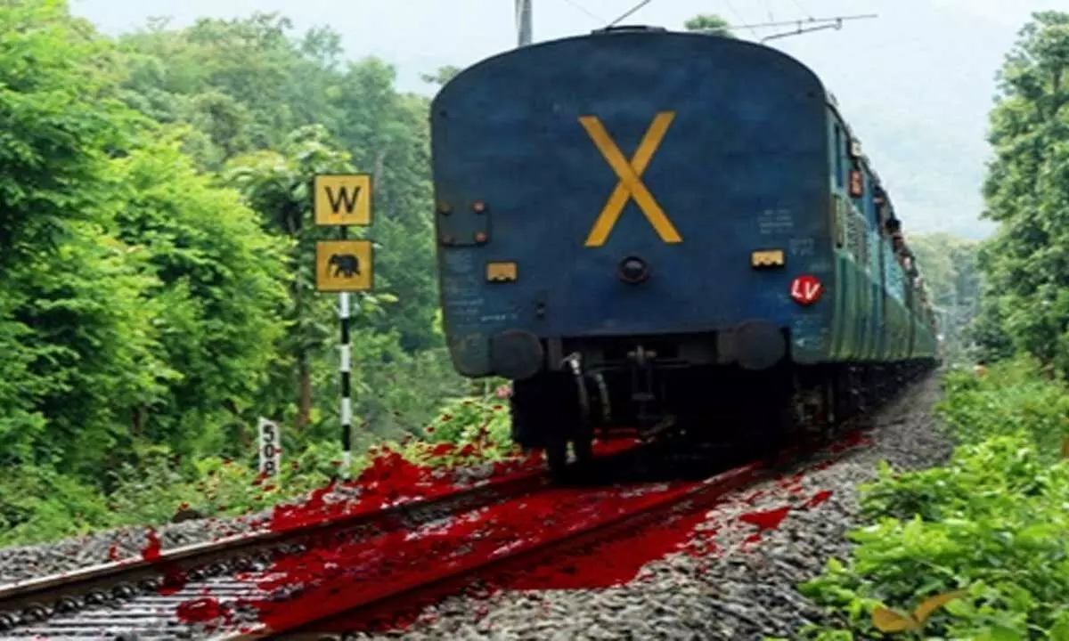 Two women teachers run over by train in Bihars Aurangabad