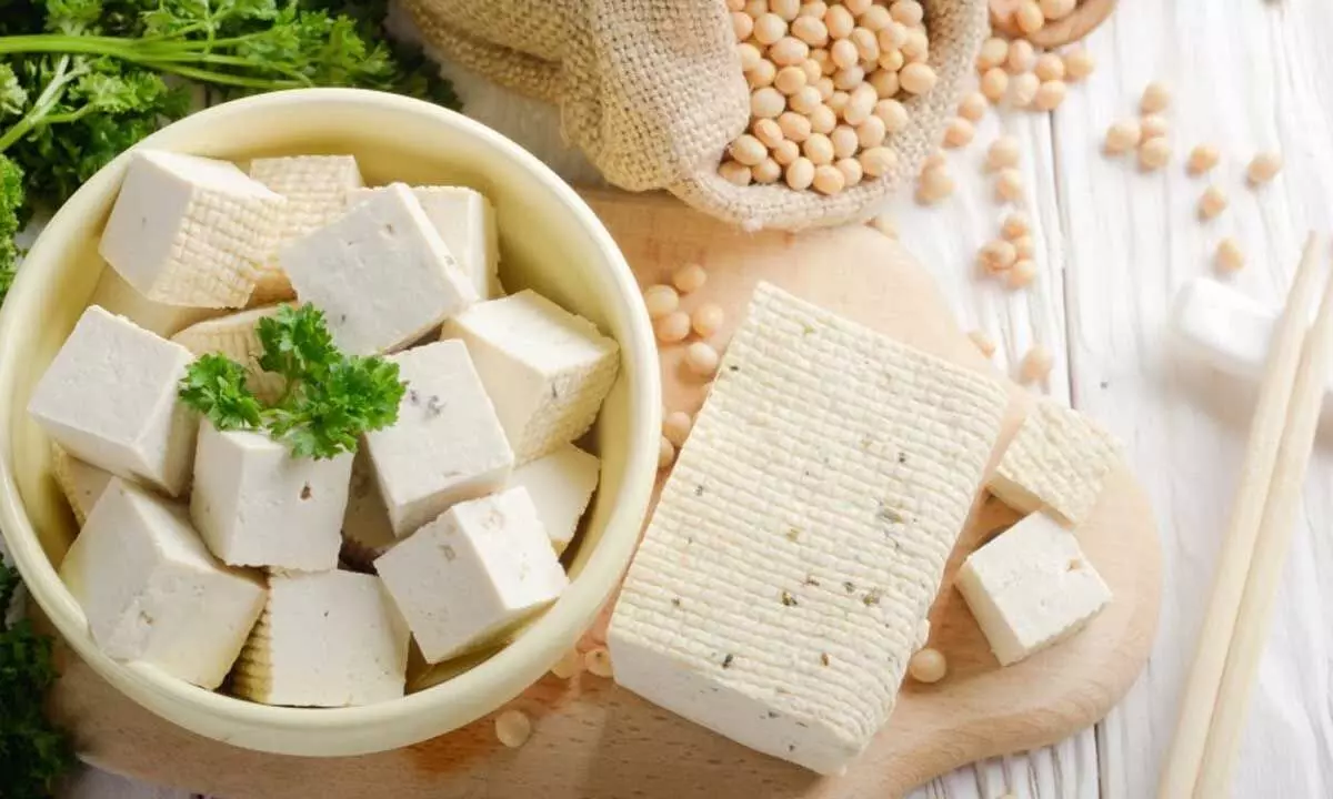 World Tofu Day 2023: Date, History, Facts, Activities
