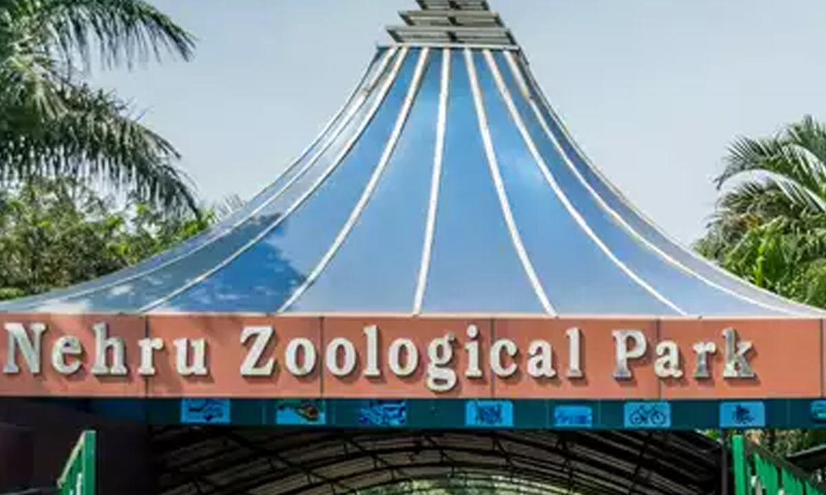 Hyderabad Twoday fun activities at Nehru Zoo Park