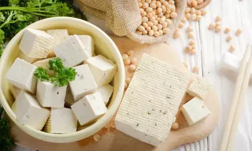 World Tofu Day 2023: Date, History, Facts, Activities