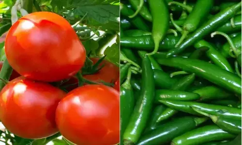 Petrol is cheaper than Tomatoes, Green chillies bring tears in Tirupati