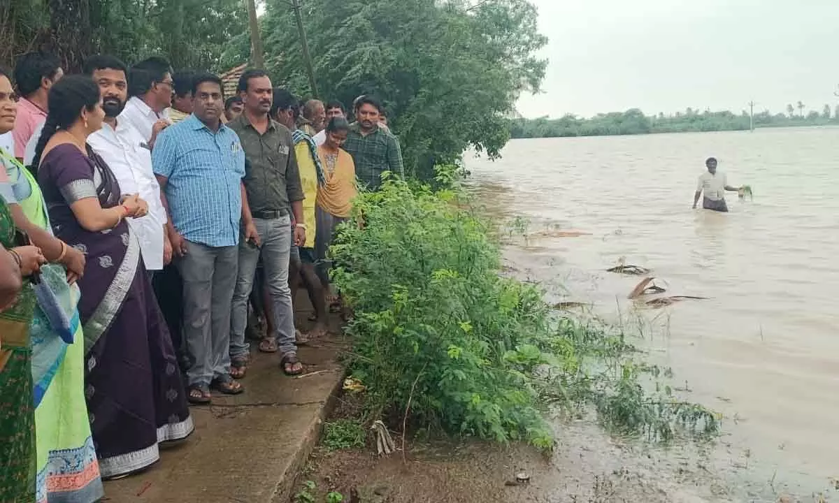 Eluru ZP Chairperson G Padma Sri and officials inspect the farmlands submerged in floodwater at Kadimikunta village in Pedapadu mandal on Wednesday