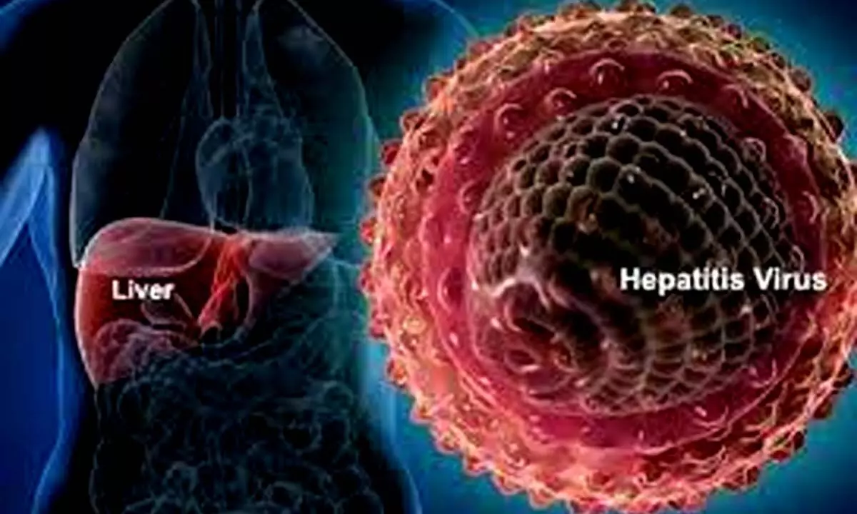 Health experts stress need for awareness to tackle Viral Hepatitis