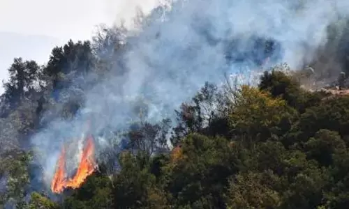 Firefighters battle raging wildfires in Syria amid harsh heat wave