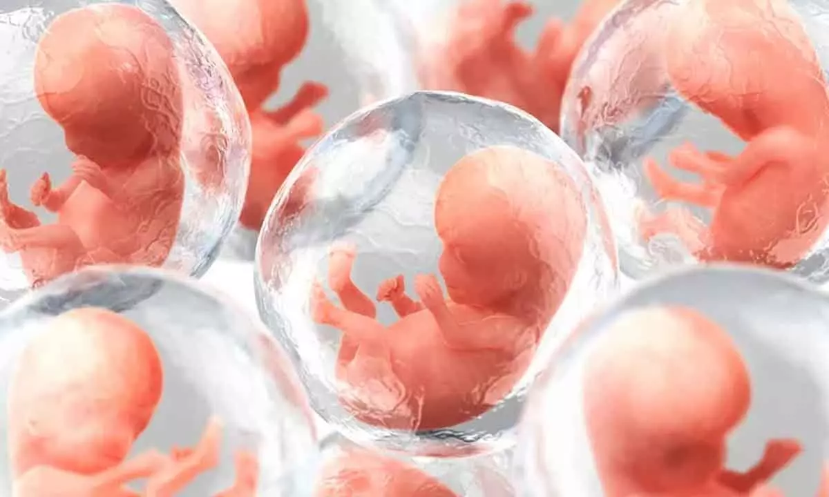Push for research on synthetic embryos