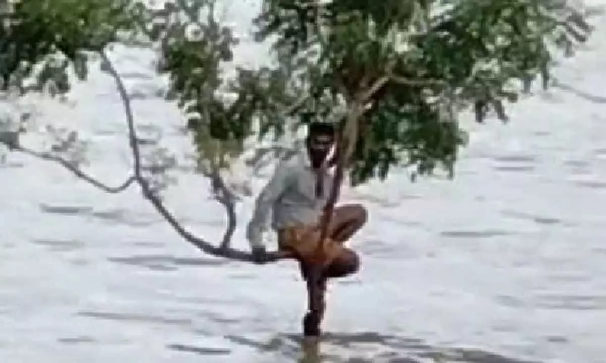 Khammam: Man waits for three hours on top of tree to save his life from floods