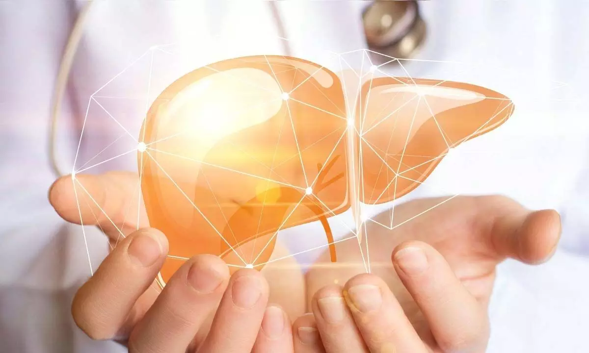 Liver Health Screenings: The Importance of Regular Check-ups and Tests