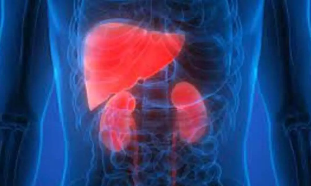 Hepatitis, a liver disorder invading your kidneys