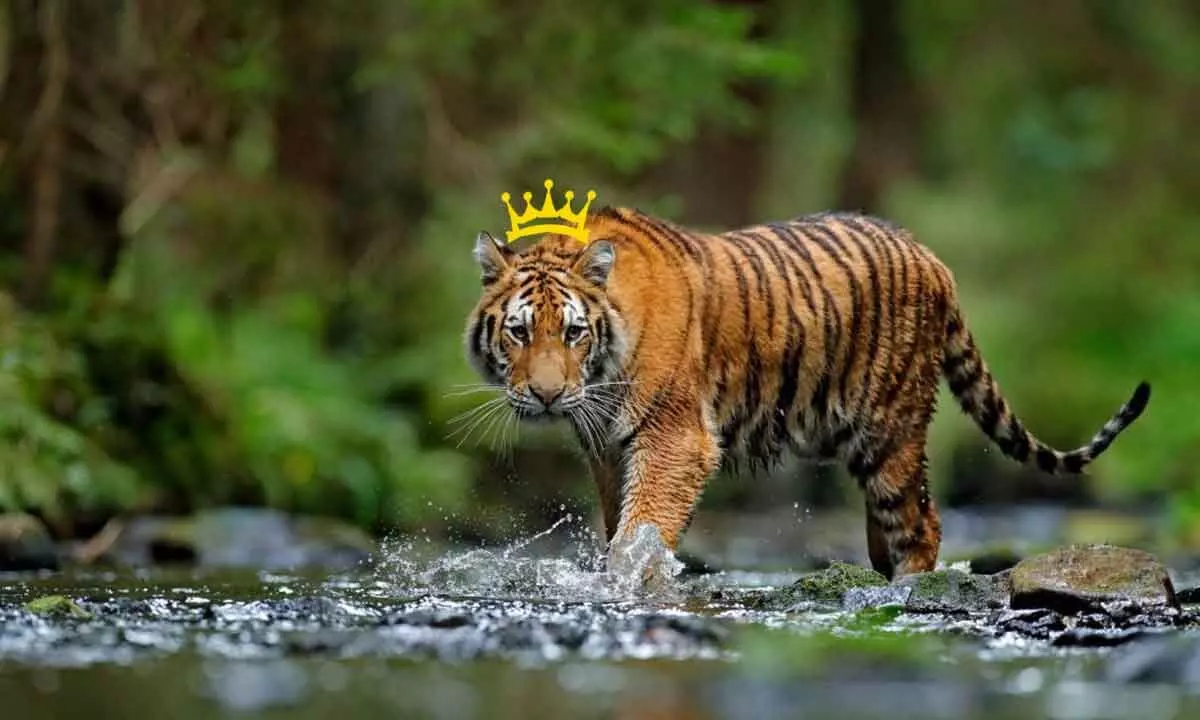 International Tiger Day 2023: 4 Bollywood Films Where Tigers Drive the Plot