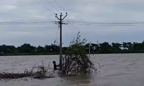 Lineman’s daring act dispels darkness