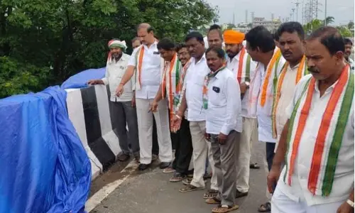 Cable bridge road collapses, sidewalls crack in just 1 month