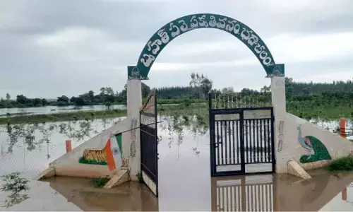 Godavari river at 54.60 feet at Bhadrachalam at 11 am