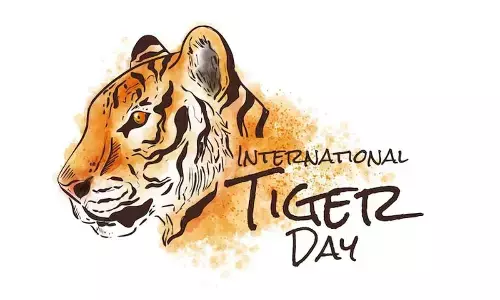 International Tiger Day 2023: Theme, History and Significance