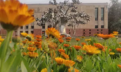 Contribution of Art and Culture to India’s Sustainable Development Goals