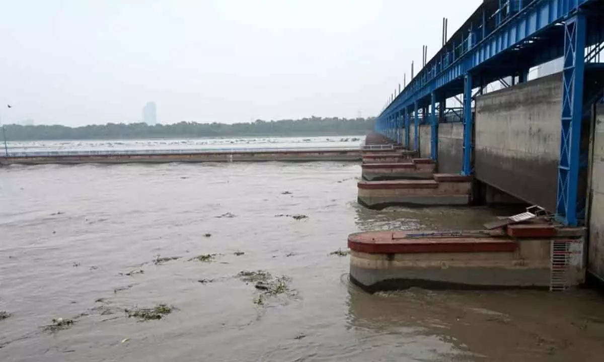 Yamuna River: Search Continues For Missing Boys Feared Drowned In Alipur