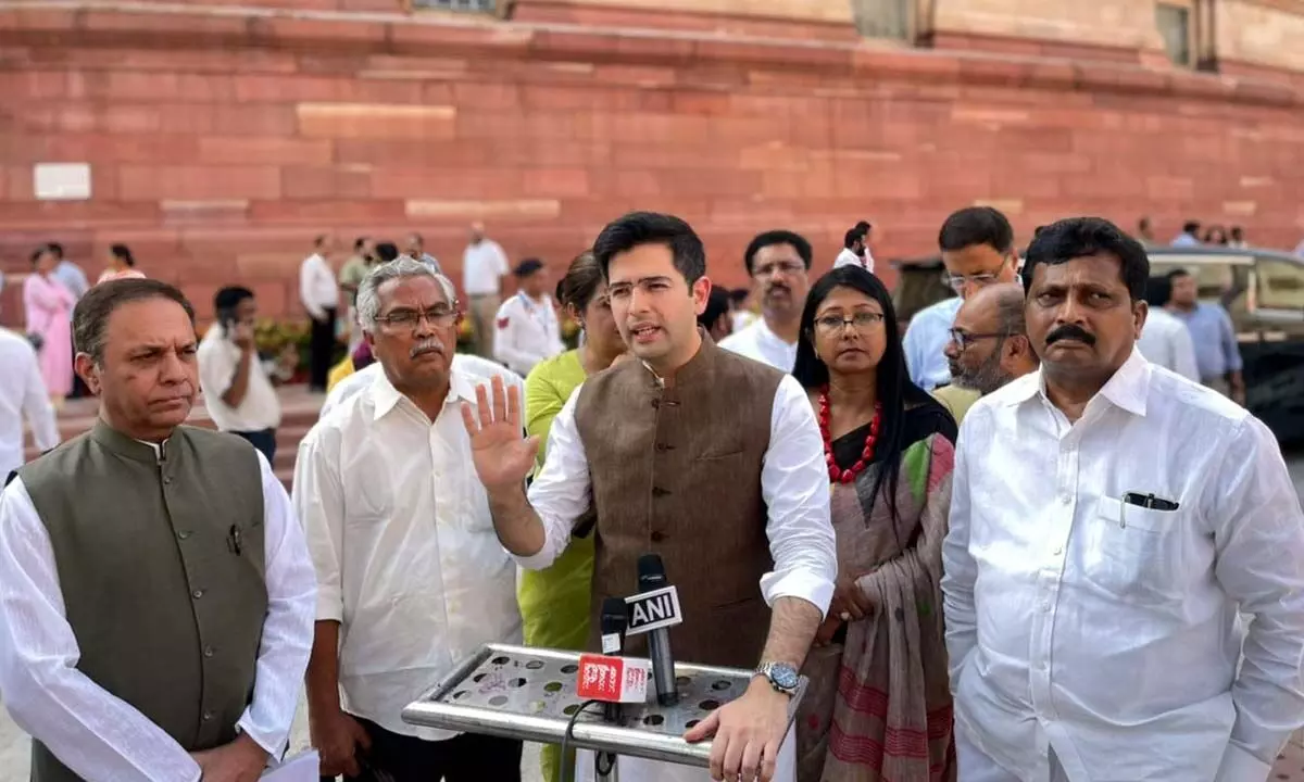 GNCTD Bill undemocratic, unconstitutional, impermissible: AAP MP Raghav Chadha