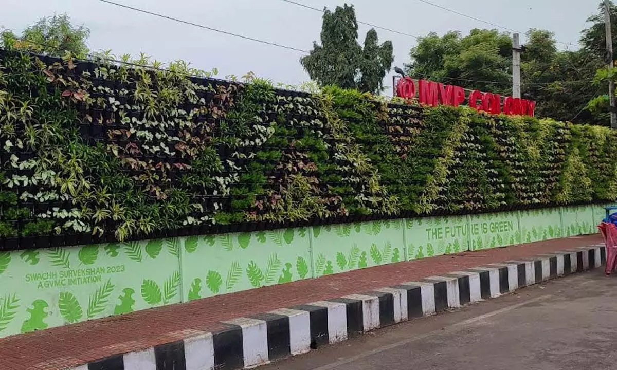 A vertical garden being developed at MVP Colony by the Greater Visakhapatnam Municipal Corporation in Visakhapatnam.