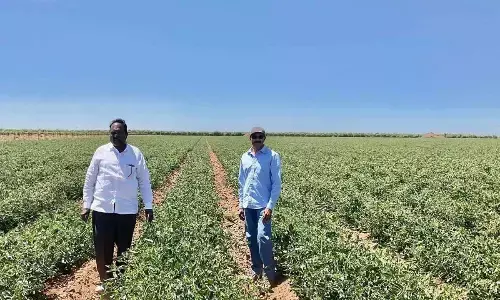APSNVSS president Alla Gopala Krishna Rao (left) with NRI farmer  T Nageswara Rao in California, USA
