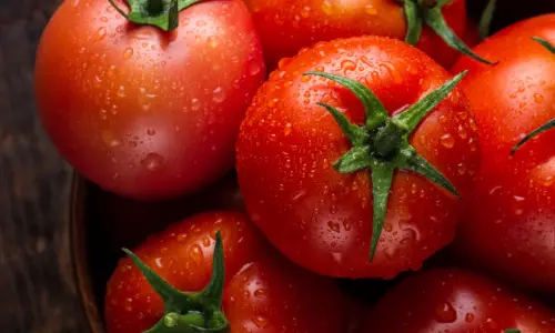 Truckload of tomatoes bound for Jaipur from Karnataka goes ‘missing’